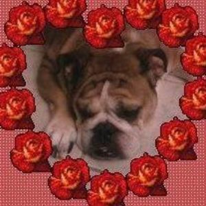 Meet your Posher, Barbie